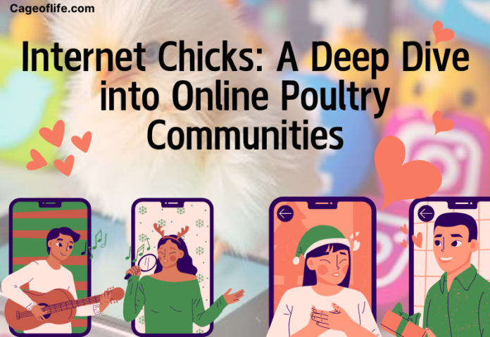 Internet Chicks A Deep Dive into Online Poultry Communities (1) Internet Chicks: A Deep Dive into Online Poultry Communities
