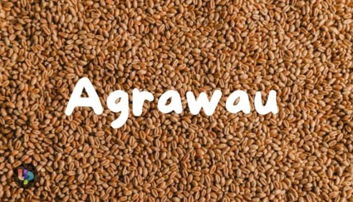 Agrawau Agrawau